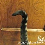 5 Proven Signs Your Cat Is Truly Happy