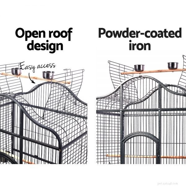Essential Bird Cage Features for a Healthy, Happy Home