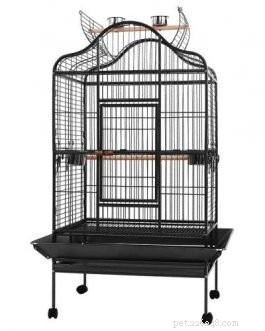 Essential Bird Cage Features for a Healthy, Happy Home