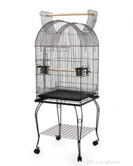 Essential Bird Cage Features for a Healthy, Happy Home