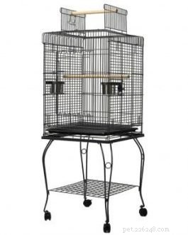 Essential Bird Cage Features for a Healthy, Happy Home