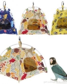 Essential Bird Cage Features for a Healthy, Happy Home