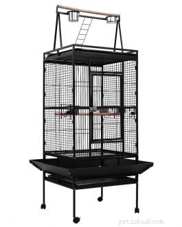 Essential Bird Cage Features for a Healthy, Happy Home