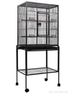 Essential Bird Cage Features for a Healthy, Happy Home