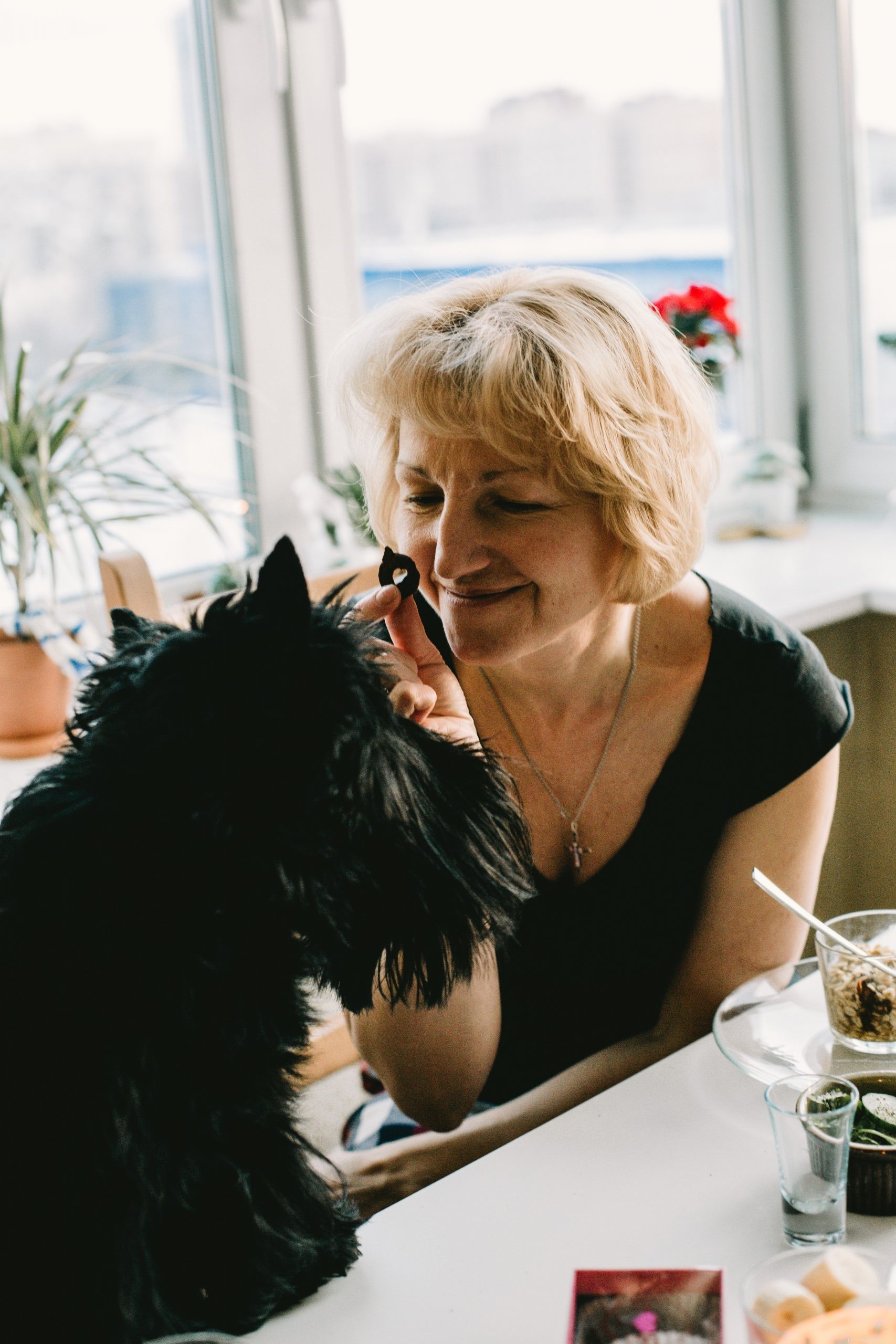 Renting with Pets in Australia: A Guide to Legal Rights and Property Rules