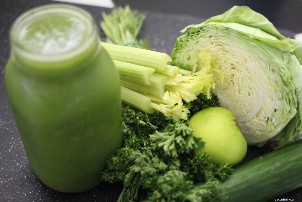 9 Nutritious Vegetables Every Dog Should Eat