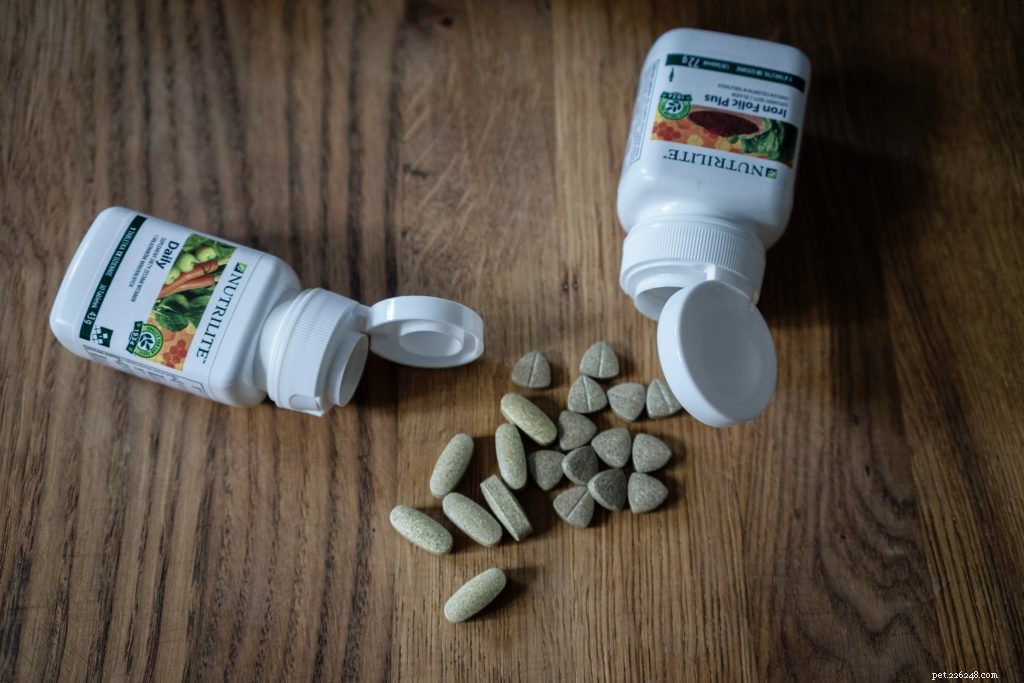 Top 5 Supplements to Boost Your Dog’s Health and Vitality