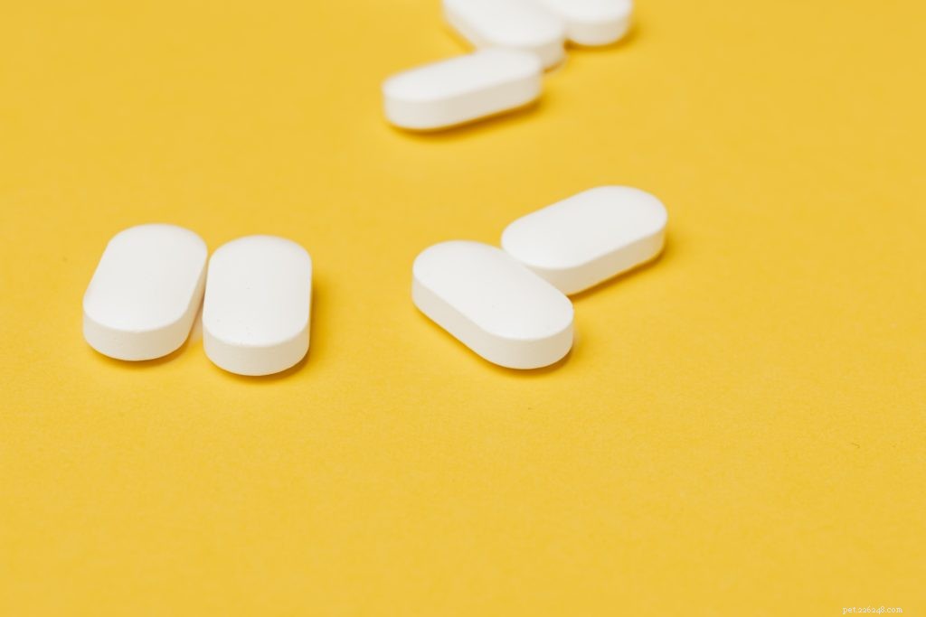 Top 5 Supplements to Boost Your Dog’s Health and Vitality