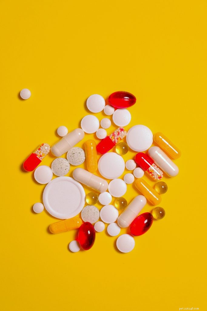 Top 5 Supplements to Boost Your Dog’s Health and Vitality