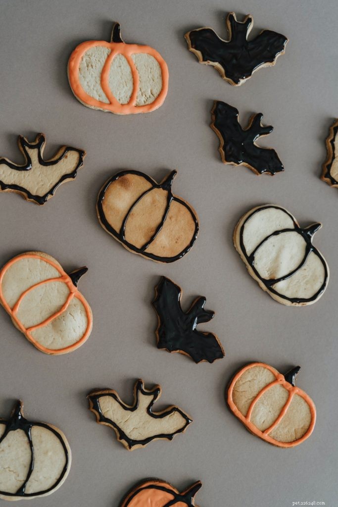 Pawlloween: Safe and Fun Halloween Ideas for Pets