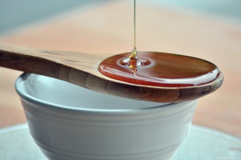 7 Proven Health Benefits of Raw Honey for Your Dog