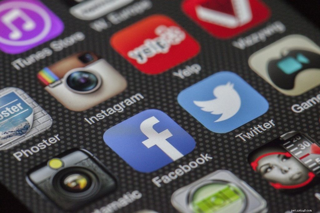 5 Compelling Reasons to Build a Social Media Profile for Your Pet