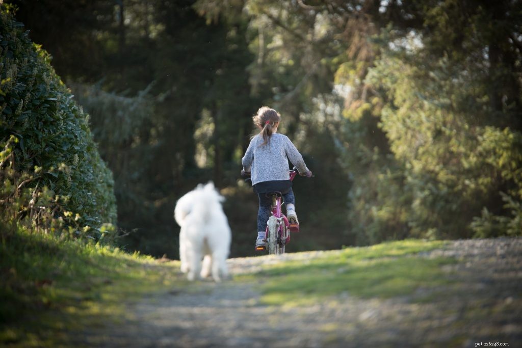 5 Compelling Reasons to Build a Social Media Profile for Your Pet