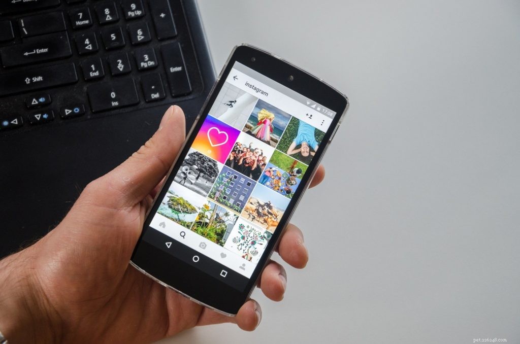 5 Compelling Reasons to Build a Social Media Profile for Your Pet