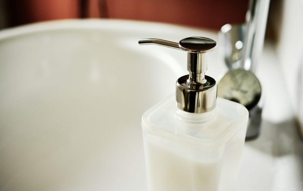 Top 5 Household Chemicals That Endanger Your Pets