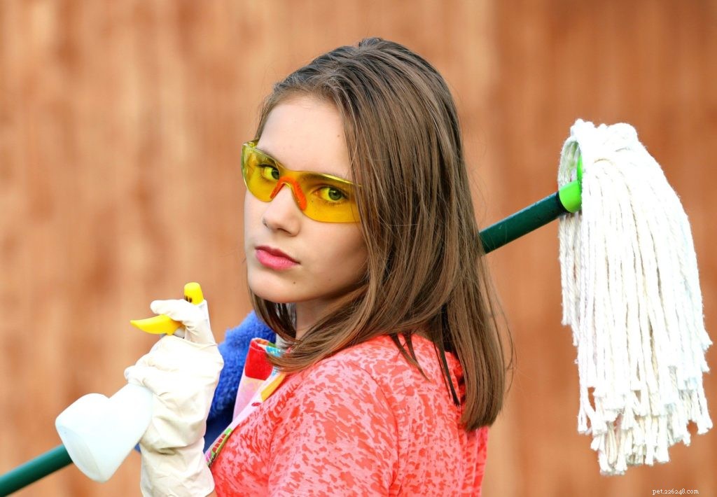 Top 5 Household Chemicals That Endanger Your Pets