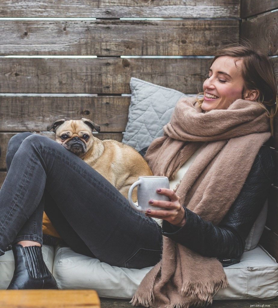 Top Lockdown Activities to Enjoy with Your Pet