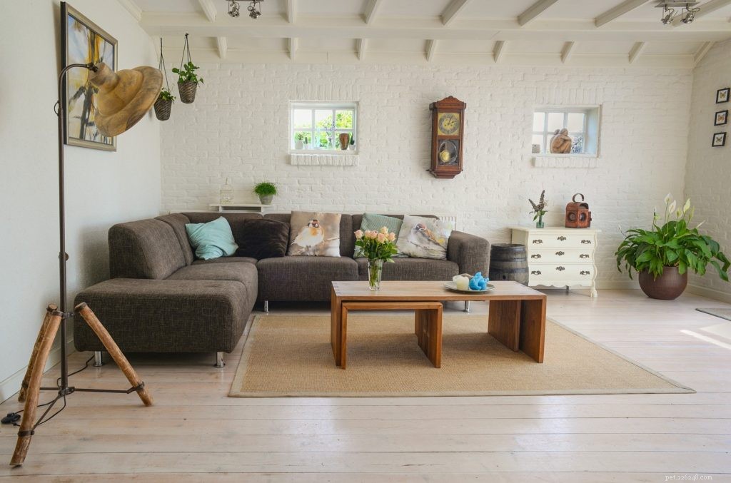 How to Safely Pet-Proof Your Home: Expert Room-by-Room Guide