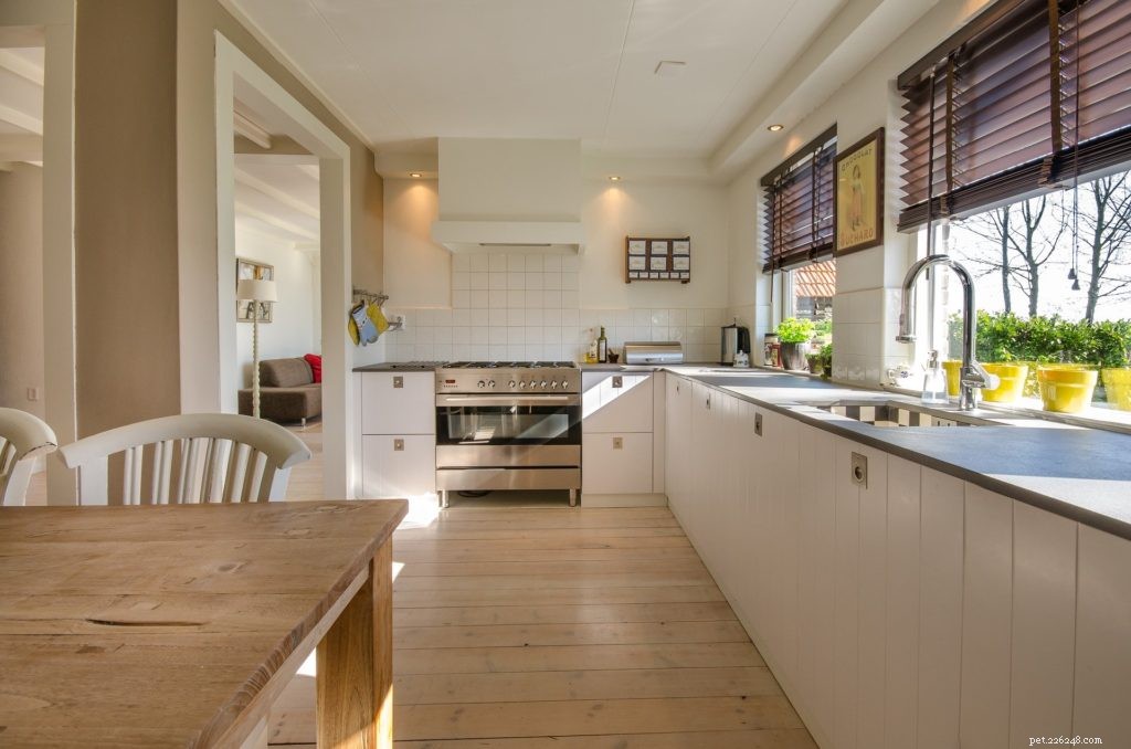 How to Safely Pet-Proof Your Home: Expert Room-by-Room Guide