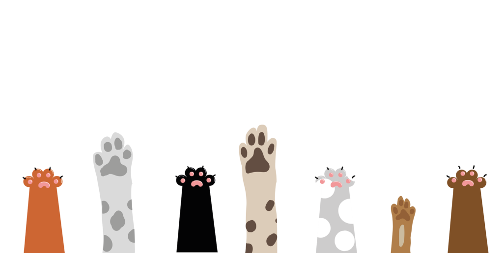 Expert Guide to Treating Paw Pad Injuries in Pets