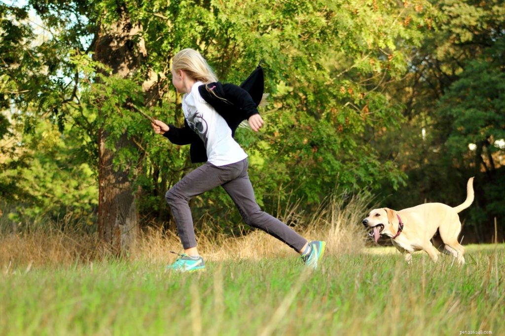 7 Proven Ways to Keep Your Pet Cool This Summer
