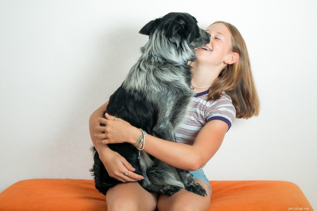 Top 5 Proven Ways to Treat and Prevent Dog Dandruff