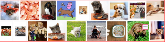Can Dogs Safely Eat Shrimp? Expert Advice and Tips
