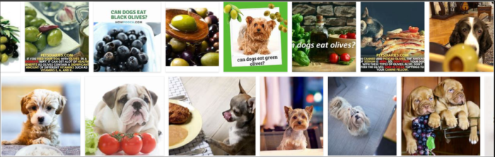 Can Dogs Eat Olives? Expert Insights & Safe Feeding Guidelines
