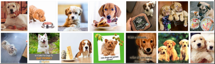 Can Dogs Safely Eat Pork? Expert Advice & Nutritional Insights