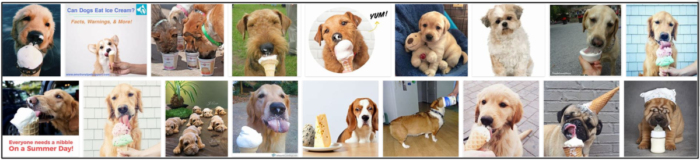 Can Dogs Safely Enjoy Ice Cream? Expert Guidance