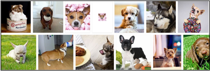 Are Marshmallows Safe for Dogs? A Comprehensive Guide to Treats and Health