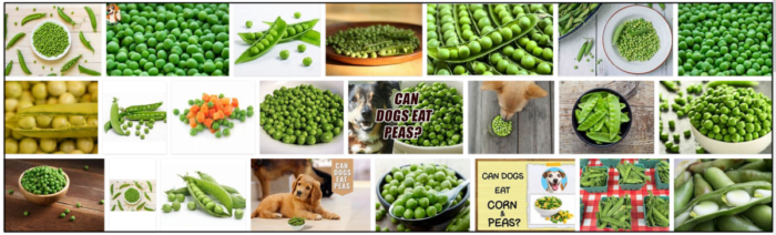 Are Peas Safe and Healthy for Dogs? A Comprehensive Guide