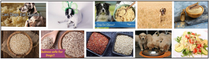 Can Dogs Safely Eat Quinoa? A Veterinary Guide to Nutritional Benefits