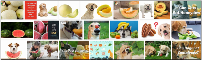 Is Honeydew Safe for Dogs? Health Benefits, Risks, and Alternatives