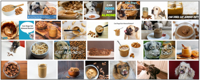 Is Almond Butter Safe for Dogs? Expert Guidance on Feeding Your Pet