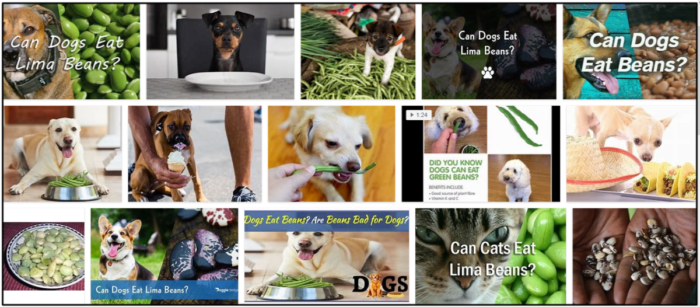 Are Lima Beans Safe for Dogs? What You Need to Know Before Feeding Them