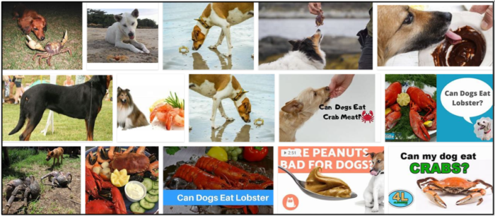 Can Dogs Safely Eat Crab? Nutritional Insights & Health Considerations