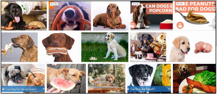 Can Dogs Safely Eat Sausage? A Vet-Approved Guide