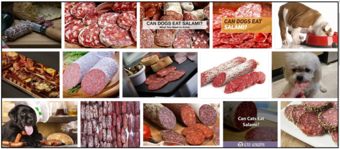 Is Salami Safe for Dogs? Expert Guide on Giving Your Pet Processed Meat