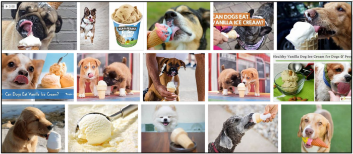 Is Peppermint Safe for Dogs? Expert Guidance Before You Feed