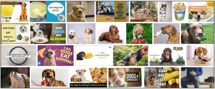 Are Grits Safe for Dogs? Expert Nutrition Advice