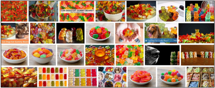 Are Gummy Bears Safe for Dogs? Learn the Risks and Safer Alternatives