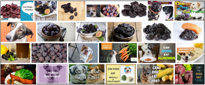 Are Prunes Safe for Dogs? Expert Guide to Feeding Prunes to Your Canine