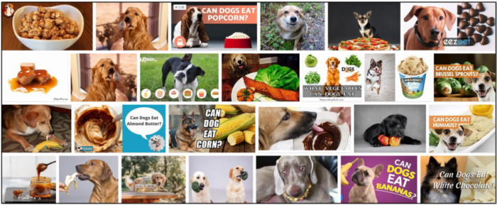 Can Dogs Safely Consume Caramel? Health Benefits and Risks Explained