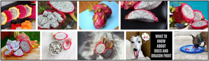 Can Dogs Safely Eat Dragon Fruit? A Guide to Benefits & Risks