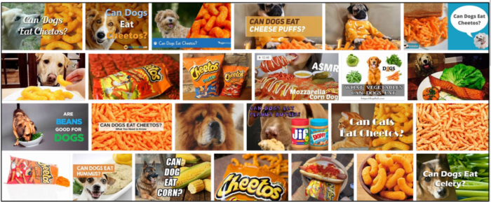 Are Cheetos Safe for Dogs? Find Out Before Feeding