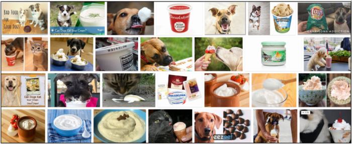 Is Sour Cream Safe for Dogs? Expert Guide to Feeding Your Furry Friend