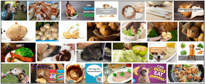 Can Dogs Safely Eat Jicama? A Guide to Benefits and Risks