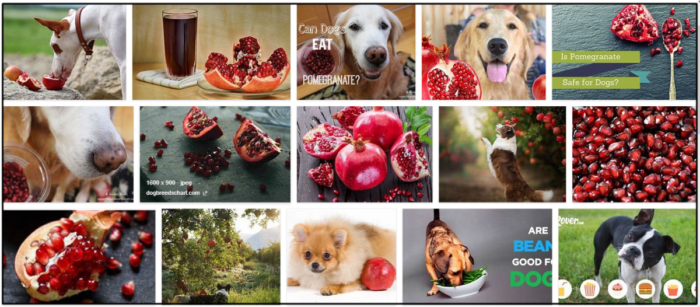 Are Pomegranate Seeds Safe for Dogs? Expert Guidance on Feeding Your Canine Friend