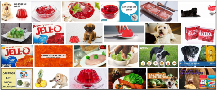 Can Dogs Safely Enjoy Jello? Tips for Feeding Your Furry Friend
